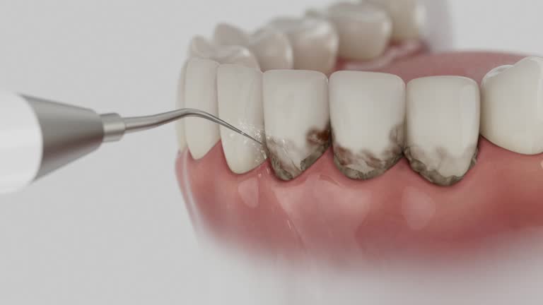 Reliable Dental contractor in Bude, MS by Dentist Open Now